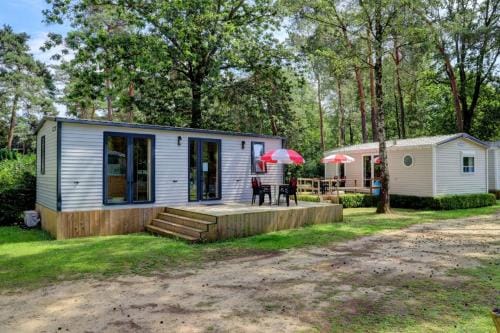 Care-accessible Cosy Cottage 4 personen Resort in Flanders