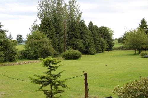 Fir Tree Lodge Lodge in Scotland