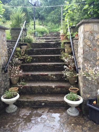 Fern Cottage Hotel in North Dorset District