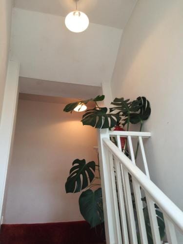 Fern Cottage Hotel in North Dorset District