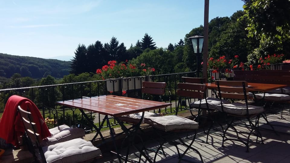 Landgasthof Gruner Baum Inn in Baden-Württemberg