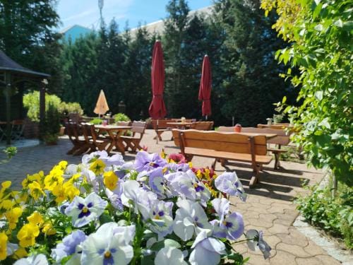Cafe und Hotel Zum Grunen Baum Hotel in Thuringia, Germany