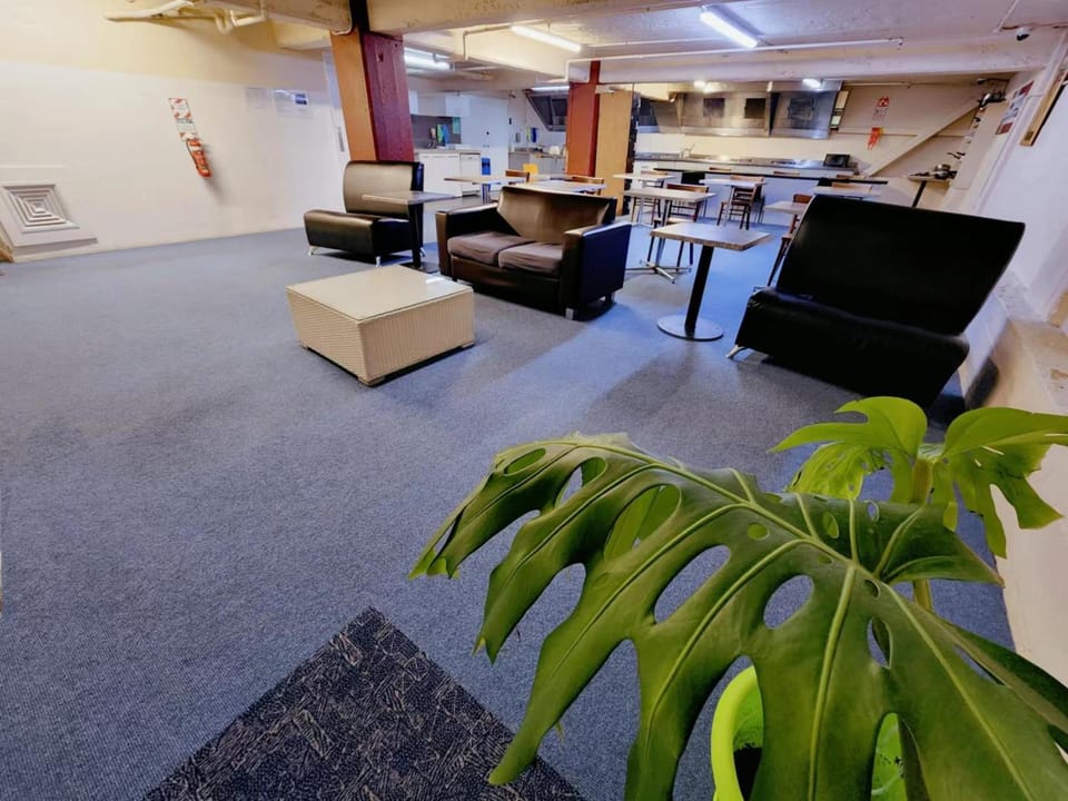 Oceanic Hostel Hostel in Auckland