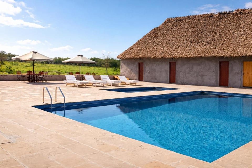 Swimming pool