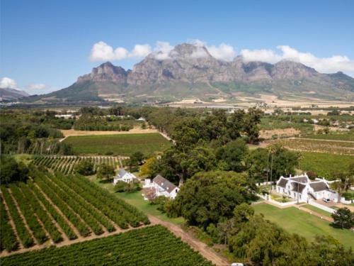 Lynette v6 Hotel in Cape Town