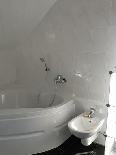 villa high ceiling 2 bedrooms Hotel in Rhineland-Palatinate