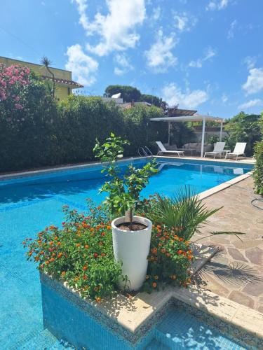 LittelCrazy Hotel in Anzio
