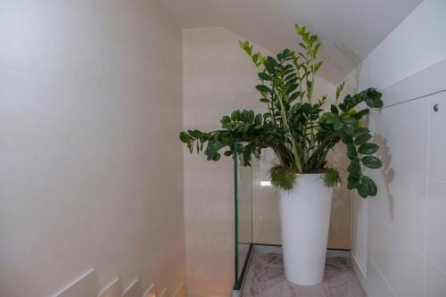 Green Room Hotel in Dubrovnik