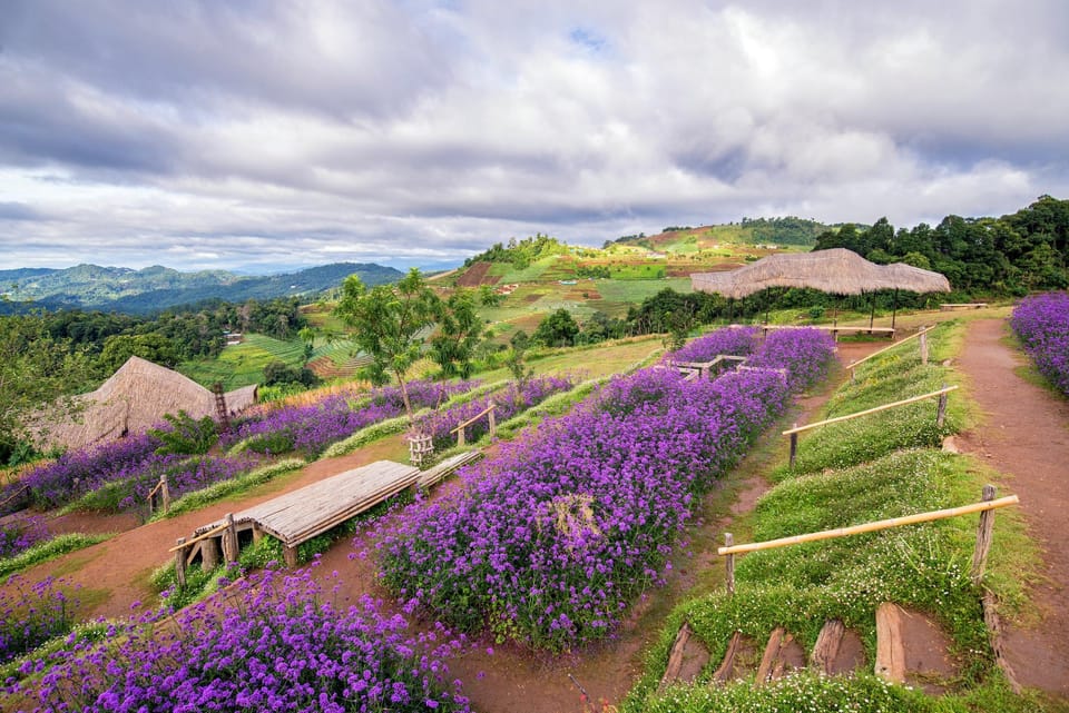 Rai Amornphaya Hotel in Thailand