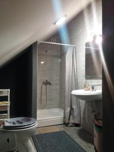 Sobe Mira Lipovac Bajakovo Hotel in Vojvodina
