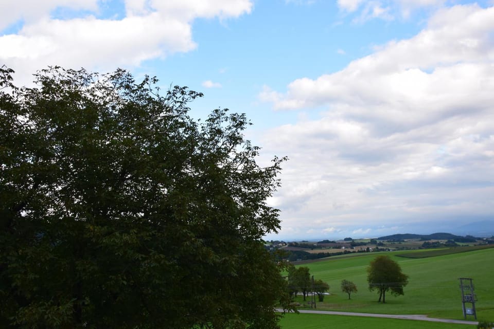 Harmonie Stuberl Inn in Upper Austria