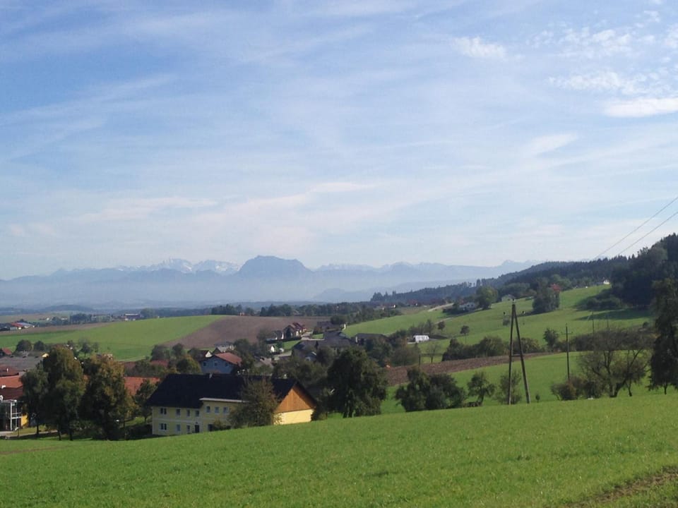 Harmonie Stuberl Inn in Upper Austria