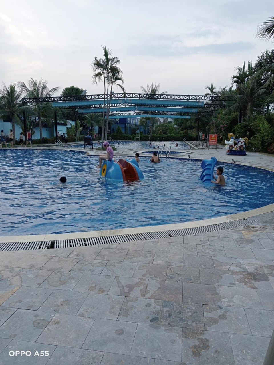 Swimming pool