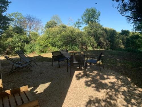 Tiny sur Conie En toute simplicite Lodge in Centre-Val de Loire