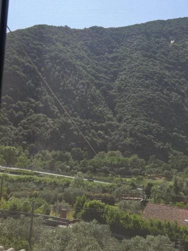 Regina Margherita affittacamere Hotel in Province of Massa and Carrara