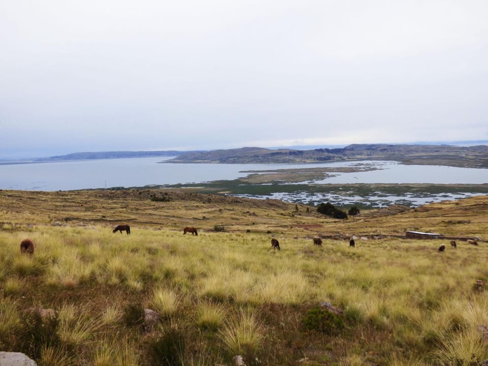 Tierra Espiritual - Andean Holistic Hotel Apartment hotel in Puno