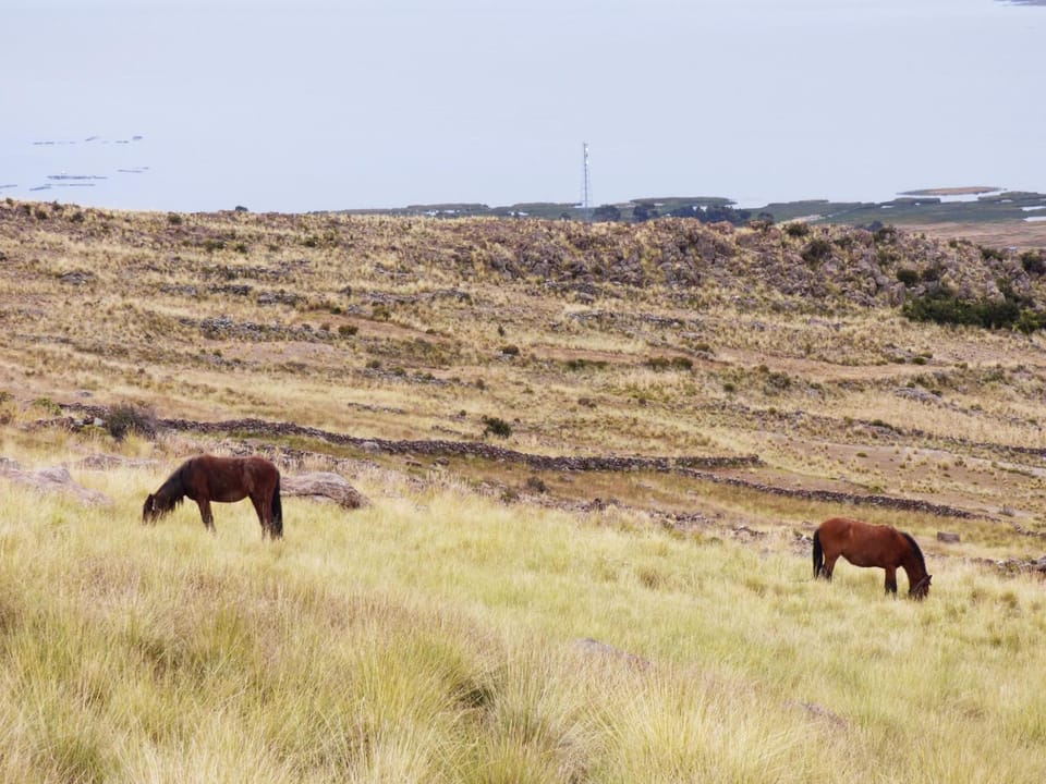 Tierra Espiritual - Andean Holistic Hotel Apartment hotel in Puno