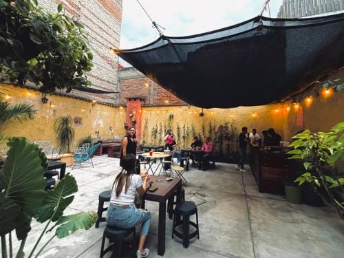 La Ceiba Hotel in Mexico City
