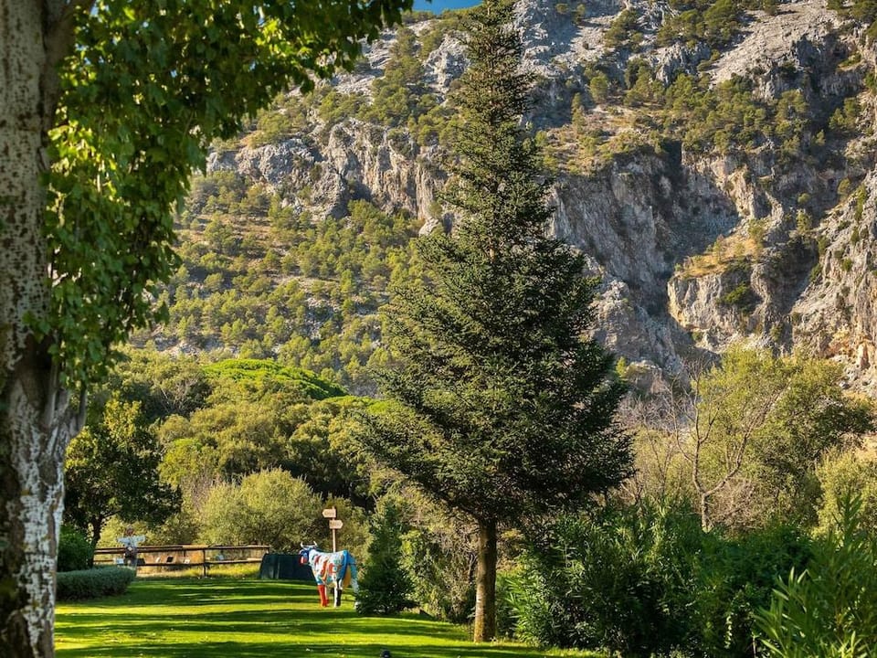 Hotel Fuerte Grazalema Hotel in Sierra de Cádiz