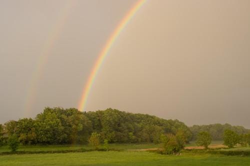 Woodview Lodge Hotel in Meath, Co. Meath, Ireland