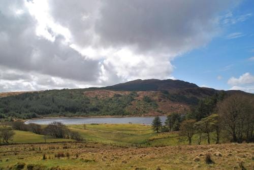 Meadowsweet Forest Lodge Lodge in County Donegal