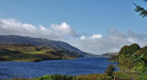 Meadowsweet Forest Lodge Lodge in County Donegal