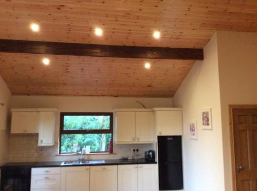 Butterfly cabin Lodge in County Limerick