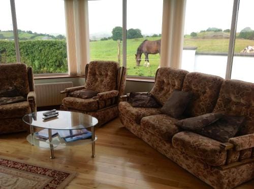 The Rock Equestrian Farm B&B Hotel in Meath, Co. Meath, Ireland