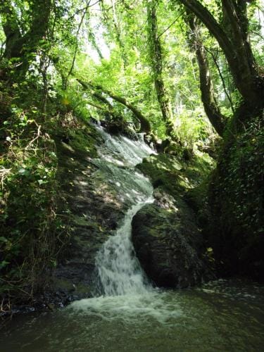 Blackwater Eco Pods Lodge in County Waterford