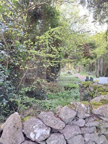Ard Aoibhinn Roscommon Bed & Breakfast Hotel in County Galway