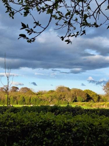 Ard Aoibhinn Roscommon Bed & Breakfast Hotel in County Galway