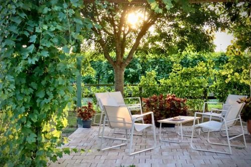 Tenuta Tommasi - Relais Bacco Hotel in Friuli-Venezia Giulia