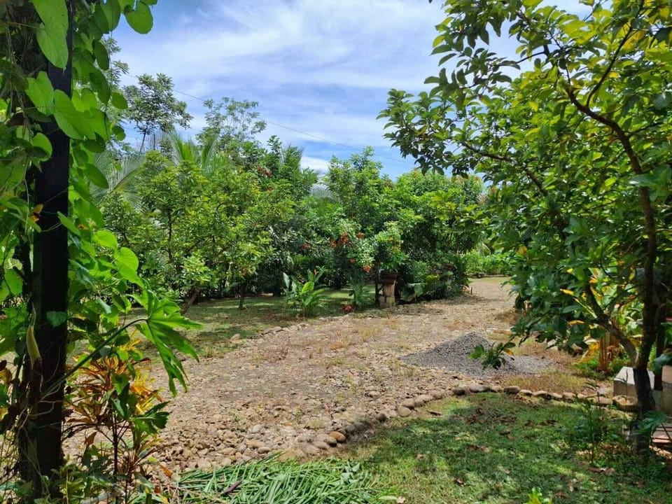 Bungalows Batsu Hotel in Alajuela Province