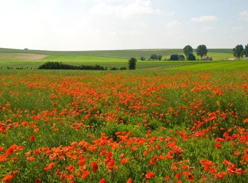 The Silent Picket Hotel in Hauts-de-France