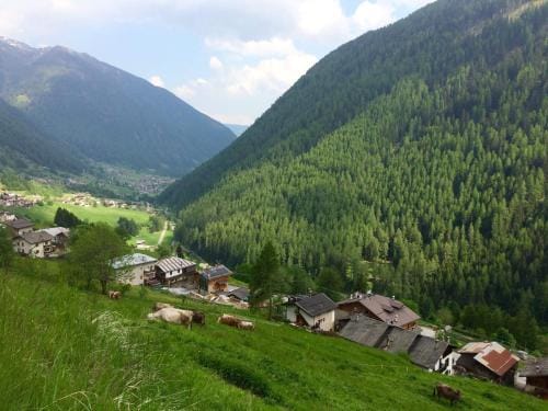 Agritur Maso Ciprianna B&B Hotel in Trentino-South Tyrol
