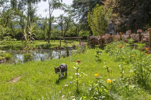 Gite Domaine des Iris Hotel in Vosges