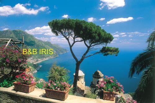B&B Iris Hotel in Conca dei Marini