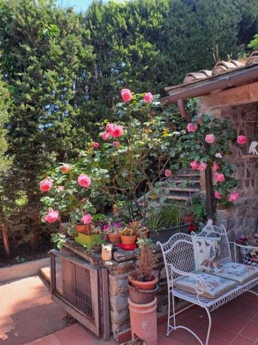 B&B La Dimora di Alida Hotel in Florence