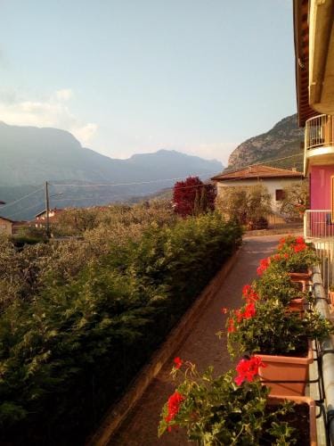 B&B agli Ulivi Hotel in Trentino-South Tyrol