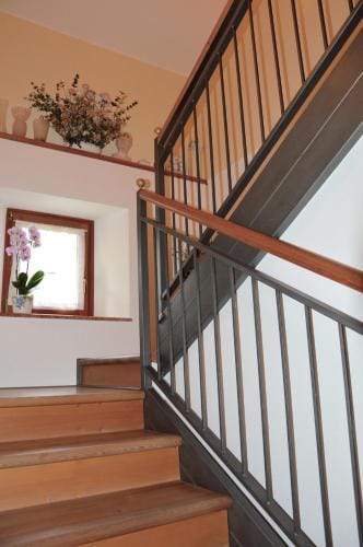 B&B LE ORTENSIE Hotel in Treviso