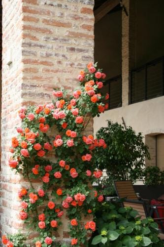 LE TRE ARTI B&B Hotel in Trentino-South Tyrol