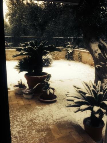 Les Fleurs b&b Hotel in Bari