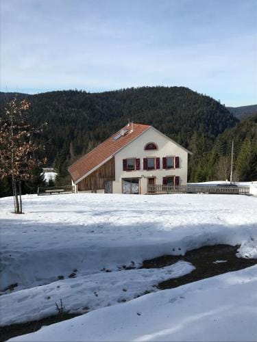 Maison forestiere de SCHMALICK Lodge in Xonrupt-Longemer
