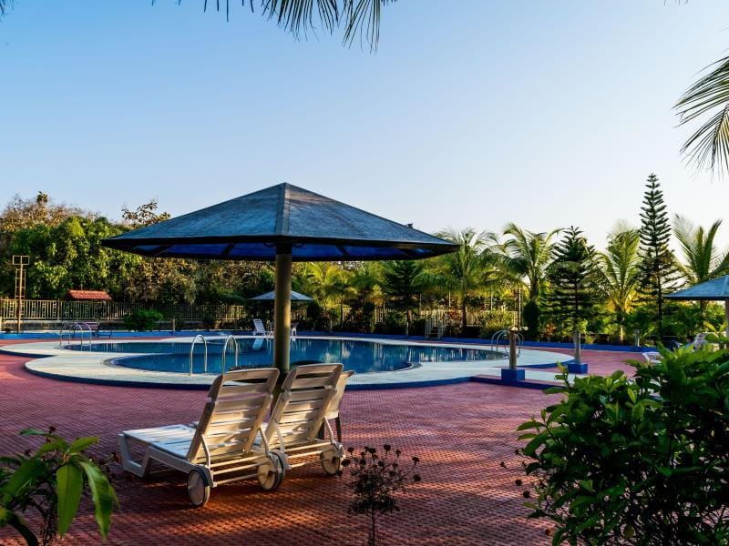 Swimming pool [outdoor]