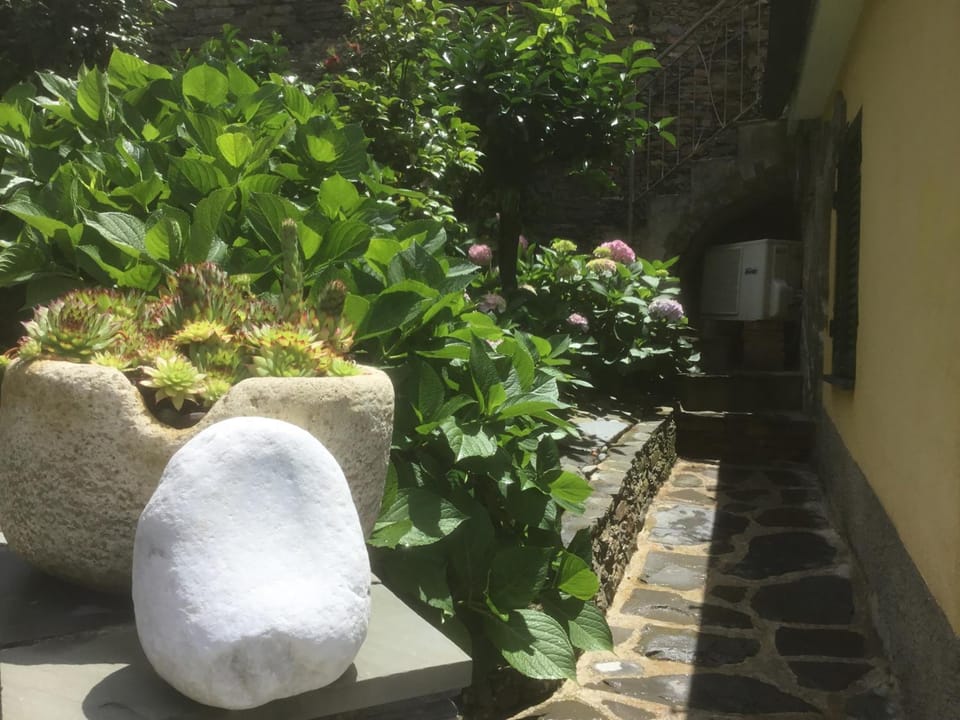 Camere Giuliano basso Hotel in Vernazza