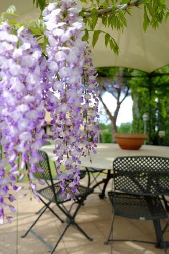 Canto De' Bacci Hotel in Foiano della Chiana