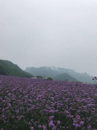 Bushe Banjuan Hostel Hotel in Zhejiang