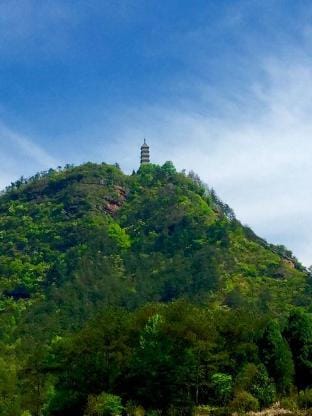 rooftop·shan lin xiao zhu Homestay Hotel in Zhejiang