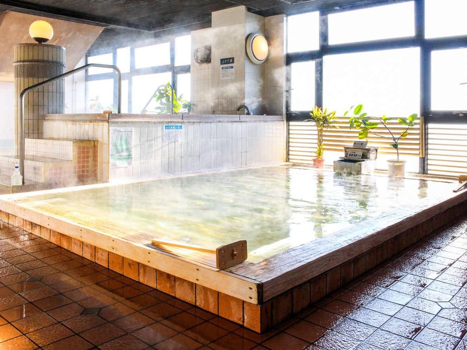 Hotel Livemax Budget Kofu Hotel in Japan