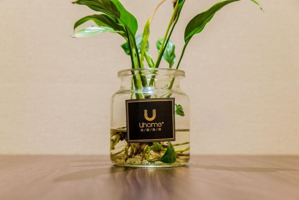 Lvyue City Apartment (East Railway Station Tanhua'an Road Subway Station) Hotel in Hangzhou